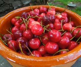 June 2013 Cherries!